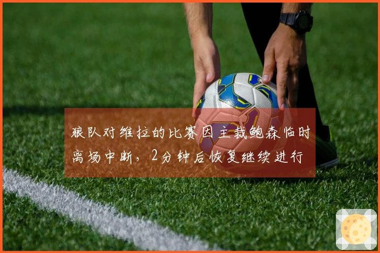 狼队对维拉的比赛因主裁鲍森临时离场中断，2分钟后恢复继续进行