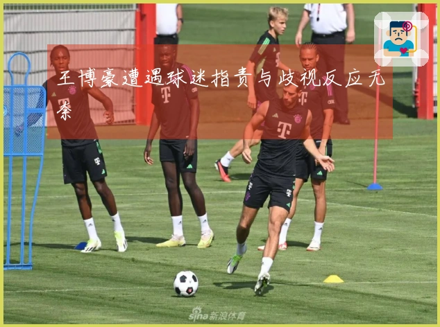 王博豪遭遇球迷指责与歧视反应无奈